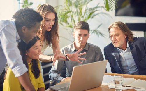 mentoring culture mentoring culture