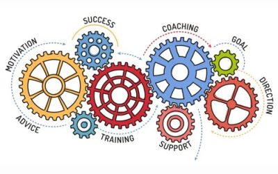 Formal Mentoring Programmes For Professional Development