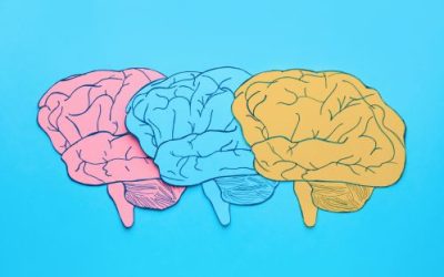 Mental Health Support Through Lived Experience- Risks, Rewards And Realities