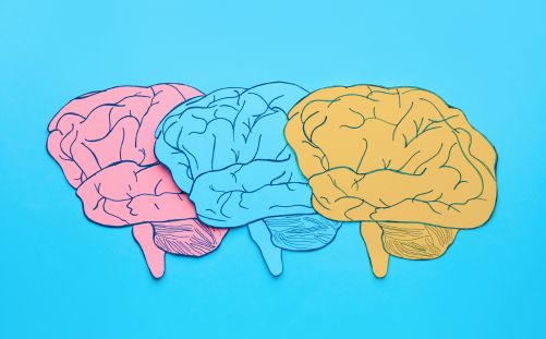 mental health support based on lived experience: the risks, rewards and realities.