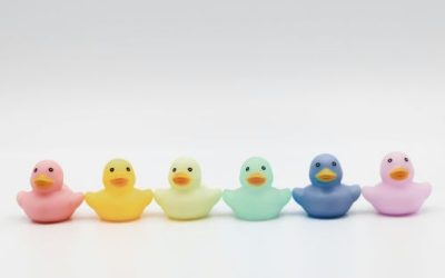 How to Prepare Your Team to Launch a Successful Mentoring Scheme