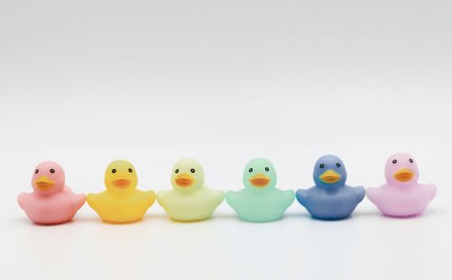 How to Prepare Your Team to Launch a Successful Mentoring Scheme How to Prepare Your Team to Launch a Successful Mentoring Scheme