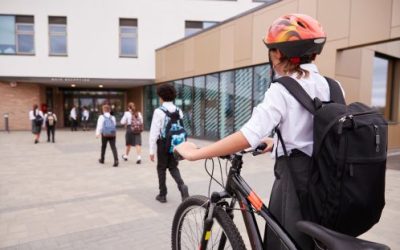 Overcome Student Disengagement: How Mentors Build Bridges