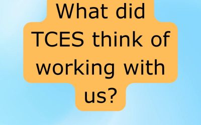 TCES Project Experience Feedback