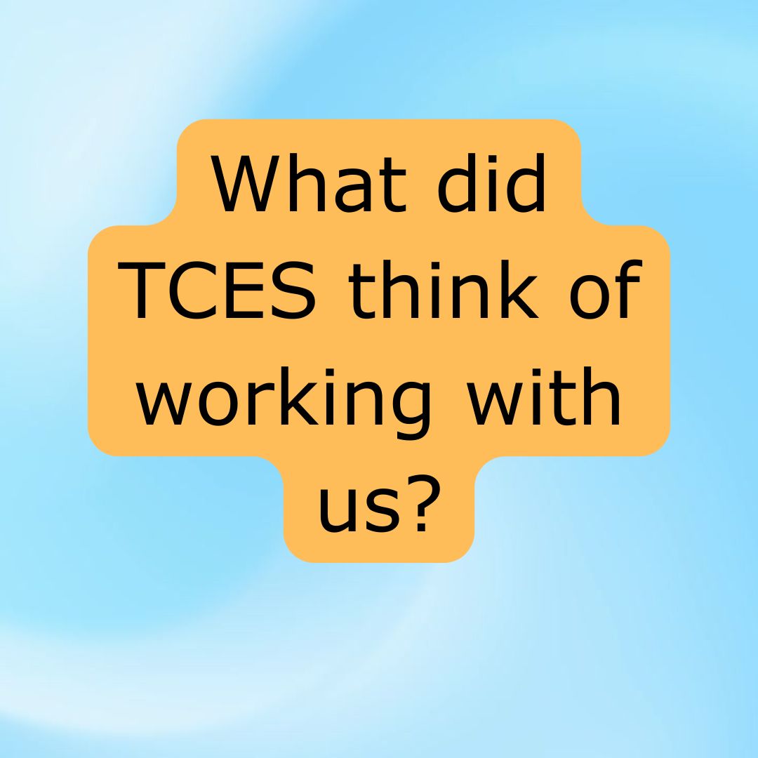 TCES Project Experience Feedback TCES Project Experience Feedback
