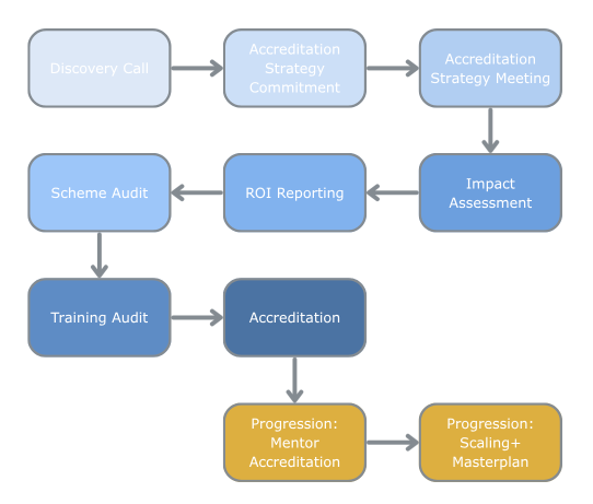 Mentoring Scheme Accreditation Blueprint