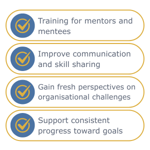 Reverse mentoring checklist